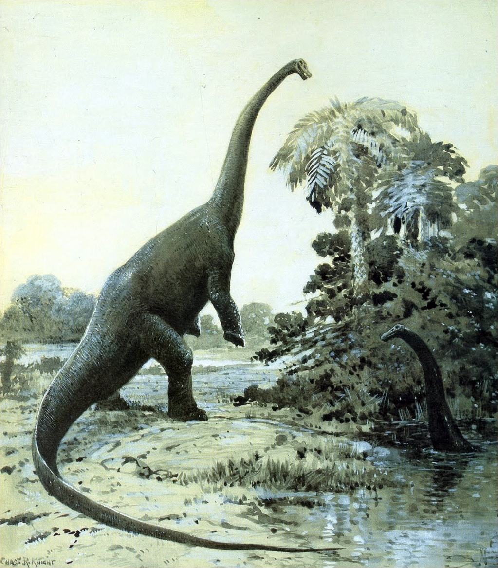 1907-Knight-Diplodocus-in-swamp