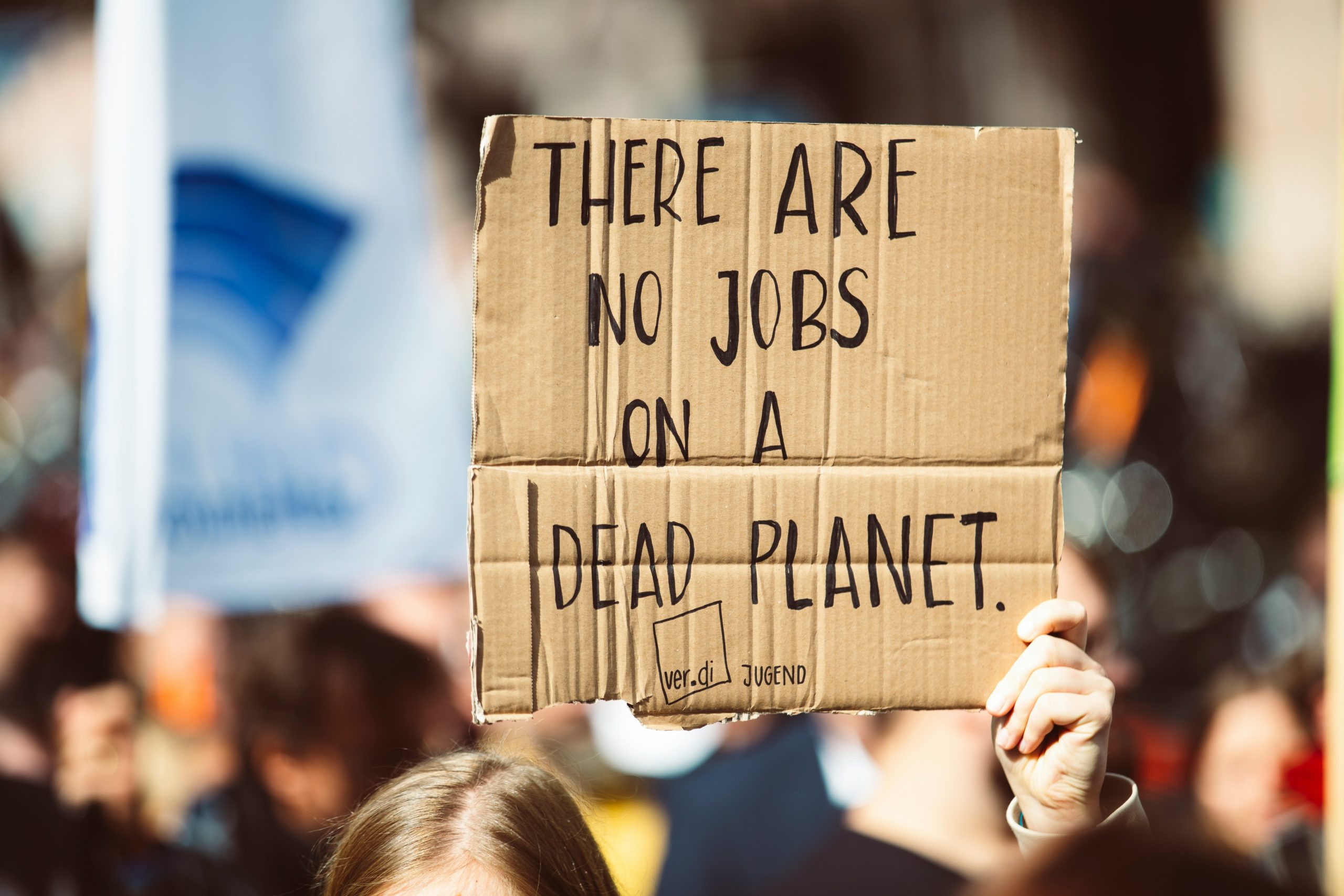 Protest sign that states "There are no jobs on a dead planet"