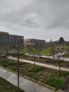 Image of the Green Heart section of campus on a rainy day