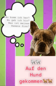 What does the German proverb "auf den Hund gekommen" mean? Where does ist derive from? And, why is the Bulldog the stereotypical dog ever? Find out in our post