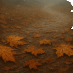 es ist nebelig, Ahornblätter liegen auf dem Boden, sie welken langsam, aber die Farbstimmung gibt noch Hoffnung.