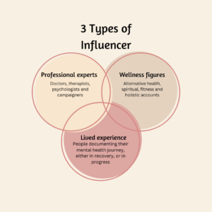 Venn diagram showing overlaps between experts, wellness and lived experience influencers.
