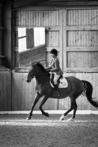 Dressage on Willow