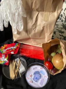 Image of a school activity pack featuring a petri dish, paper collage of cell components, fruit, gloves and sweets. These items are used by children involved with IMSR's school workshops