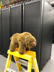 GPU and BEAR Portal changes