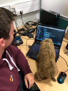 Bear looking at code on a laptop with a group member