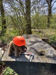 Bear using tools with a tree