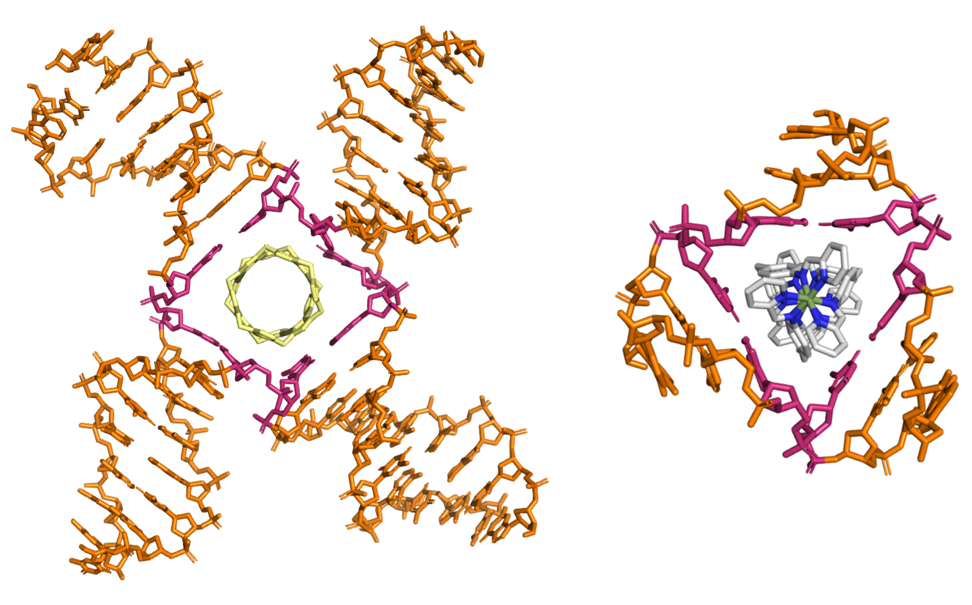 simulating-dna-and-its-interactions-with-metal-compounds-birmingham