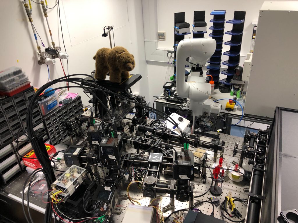 Bear checking out the latest technology microscope!