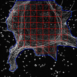 October 2025 BEAR Newsletter