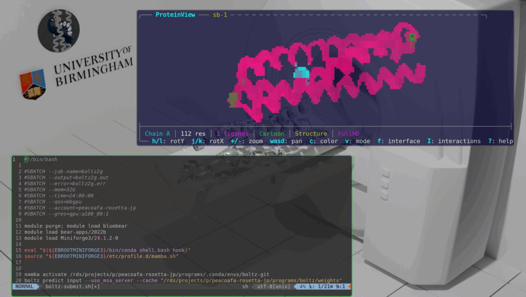 Picture of a screen showing the job script and another showing ProtienView application.