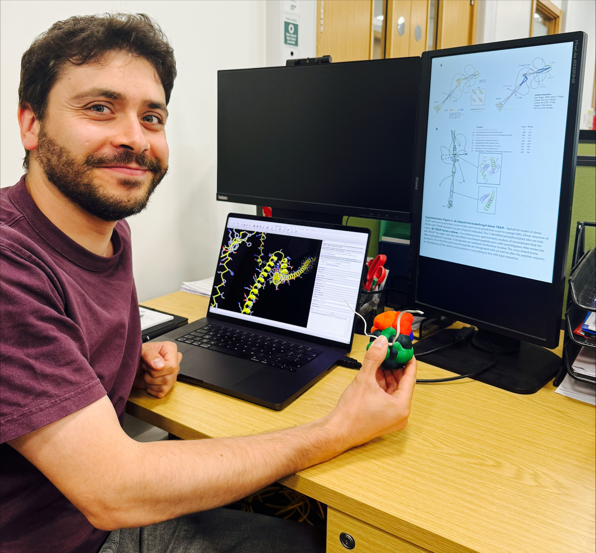 Paolo sitting at a desk in front of a computer holding a model of a protein