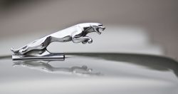 Jaguar Land Rover: One-week shutdown will impact the rest of the supply chain