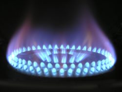 Will the Energy Price Guarantee prevent households from falling into fuel poverty?