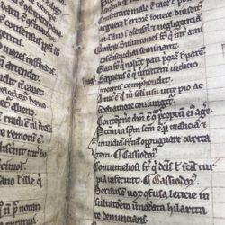 Meeting Medieval Manuscripts in the Cadbury Research Library – by Lucy Snow (CRI 2025)