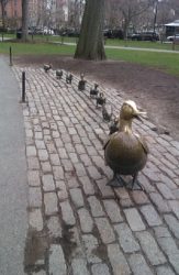 From Boston with Ducklings! Interdependent Challenges and Urban Living and the Management of Complex Cities