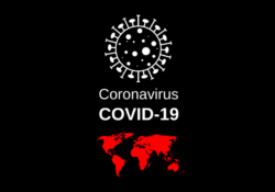 The Long-Term Impact of Homeworking Arising From the Coronavirus (COVID-19) Crisis
