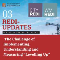 REDI-Updates 3: The Challenge of Implementing, Understanding and Measuring “Levelling Up”