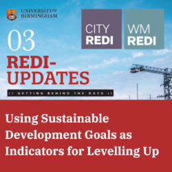 Using Sustainable Development Goals as Indicators for Levelling Up