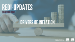REDI-Updates: Drivers of Inflation
