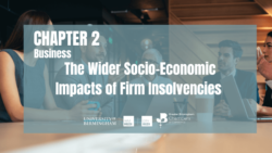 The Wider Socio-Economic Impacts of Firm Insolvencies