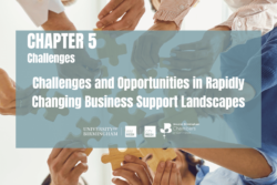 Challenges and Opportunities in Rapidly Changing Business Support Landscapes
