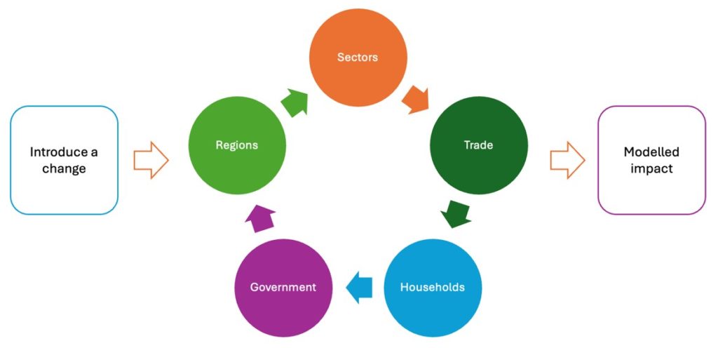 The SEIM UK model simplified, starting on the left with 'introduce a change', and ending on the right with 'modelled impact'. In the middle are 5 elements that feed into each other: sectors, trade, households, government and regions.