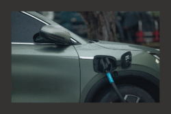 Challenges and Opportunities for the Electric Vehicles in the WM: Tackling Challenges and Building on Strengths