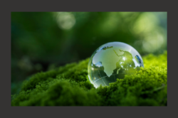 Spotlight Good Practice in Net Zero Business Support