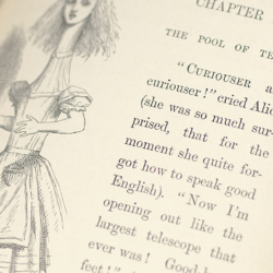 How can CLiC be used to teach English? Polysemy in Alice’s Adventures in Wonderland