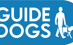 Guide Dogs for the Blind 90th anniversary