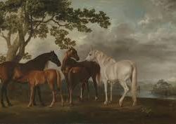 George Stubbs 300th anniversary