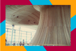 Putting the ‘Policy’ into Local Policy and Innovation Partnership: Political Engagement and Cymru Wledig LPIP Rural Wales