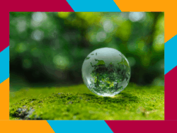 Governing for Net zero? A British Academy Report and its value to Local Policy Making