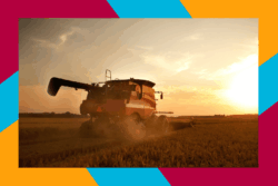 Research Influencing Welsh Policy-Making: Cymru Wledig LPIP Rural Wales Engagement Success