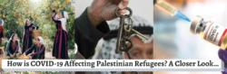 How is COVID-19 Affecting Palestinian Refugees? A Closer Look…