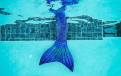 Hunting Mermaids: Exploring media representation of the trans+ community