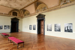 New photography exhibition at Naturhistorisches Museum Wien