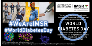 Poster for IMSR event advertisng World Diabetes Day webinar on November 14th, 2020