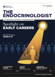 IMSR researchers feature in The Endocrinologist